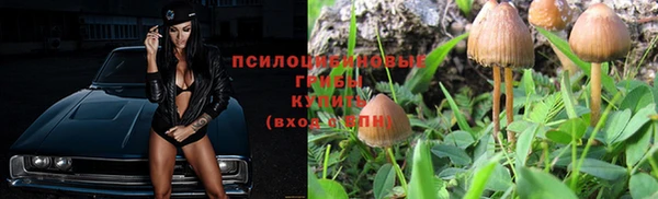 тгк Майский