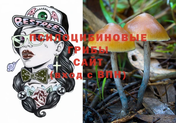 тгк Майский