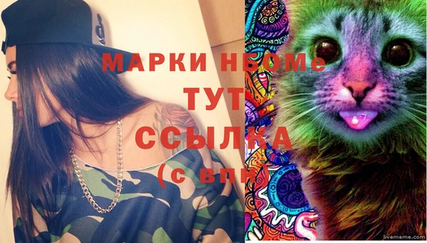 дживик Володарск