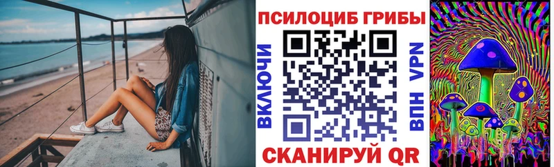 Псилоцибиновые грибы мухоморы нарко площадка клад Шацк