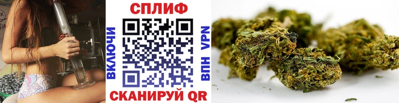 mega зеркало  Шацк  Марихуана OG Kush  где купить наркоту 